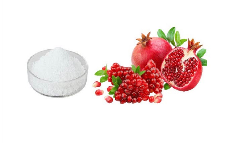 اسانس خوراکی پودری انار خارجی ۱۰۰۰گرمی اصل