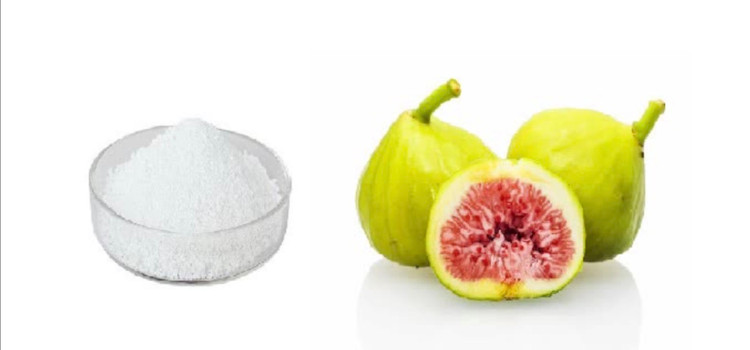 اسانس خوراکی پودری انجیر خارجی ۱۰۰۰گرمی اصل