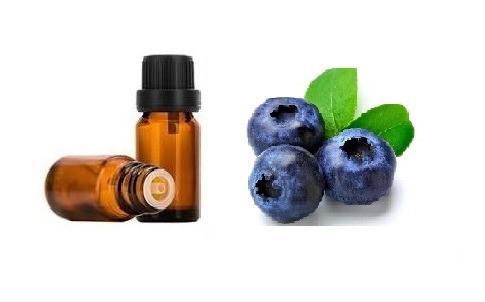 اسانس خوراکی بلوبری خارجی اصل ۱۰۰۰میلی لیتر