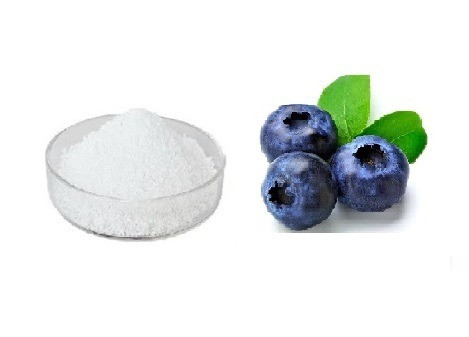 اسانس خوراکی پودری بلوبری خارجی ۱۰۰۰گرمی اصل