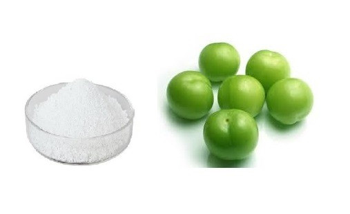 اسانس خوراکی پودری آلوچه خارجی ۱۰۰۰گرمی اصل