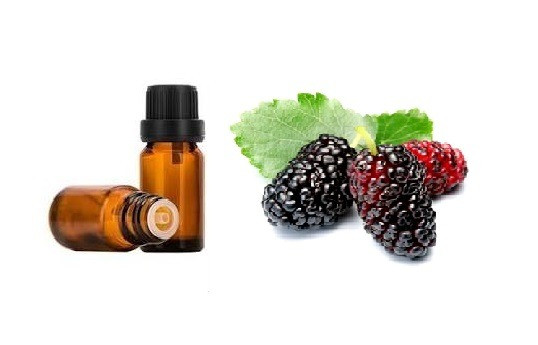 اسانس خوراکی شاتوت خارجی اصل ۱۰۰۰میلی لیتر