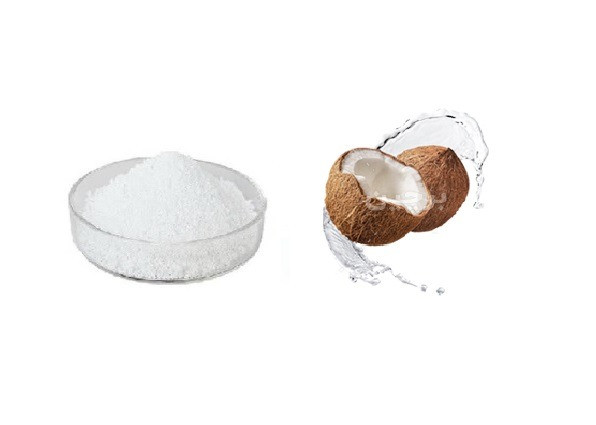 اسانس خوراکی پودری نارگیل خارجی ۱۰۰۰گرمی اصل