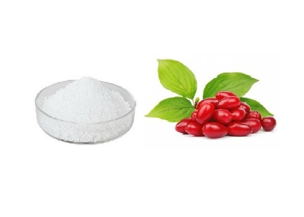 اسانس خوراکی پودری زغال اخته خارجی ۱۰۰۰گرمی اصل