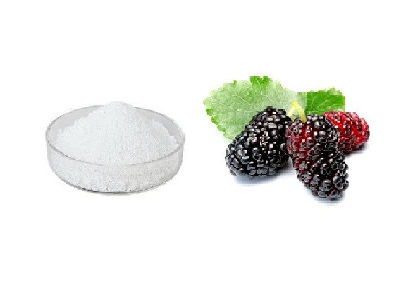 اسانس خوراکی پودری شاتوت خارجی ۱۰۰۰گرمی اصل