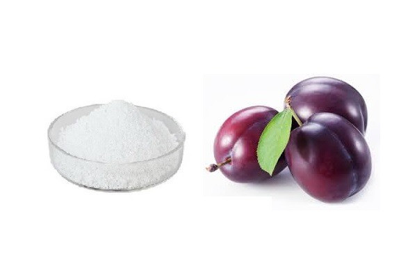 اسانس خوراکی پودری آلو خارجی ۱۰۰۰گرمی اصل