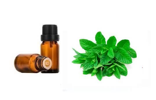 اسانس خوراکی نعنا خارجی اصل ۱۰۰۰میلی لیتر