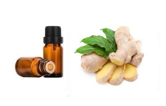 اسانس خوراکی زنجبیل خارجی اصل ۱۰۰۰میلی لیتر