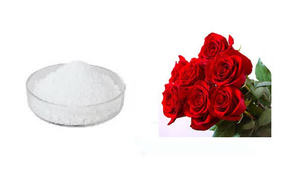 اسانس خوراکی پودری گل رزخارجی ۱۰۰۰گرمی اصل
