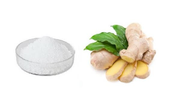 اسانس خوراکی پودری زنجبیل خارجی ۱۰۰۰گرمی اصل