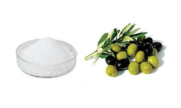 اسانس خوراکی پودری زیتون خارجی ۱۰۰۰گرمی اصل