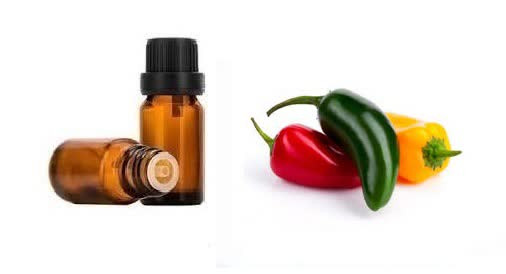 اسانس خوراکی فلفل هالوپینو خارجی اصل ۱۰۰۰میلی لیتر