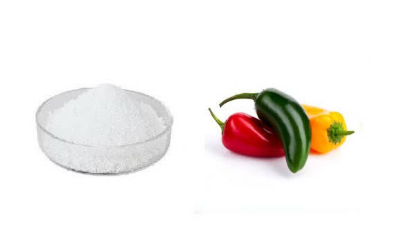 اسانس خوراکی پودری فلفل هالوپینو خارجی ۱۰۰۰گرمی اصل