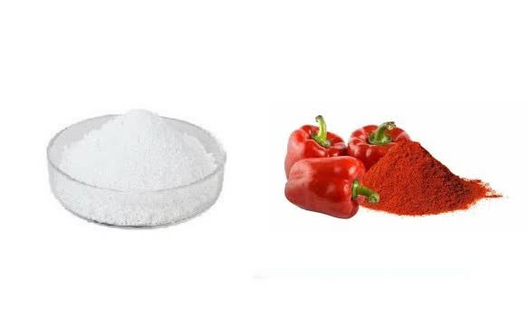 اسانس خوراکی پودری پاپریکا خارجی ۱۰۰۰گرمی اصل