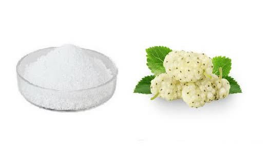 اسانس خوراکی پودری توت خارجی ۱۰۰۰گرمی اصل