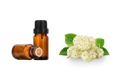 اسانس خوراکی توت خارجی اصل ۱۰۰۰میلی لیتر