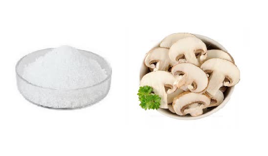 اسانس خوراکی پودری قارچ و پنیر خارجی ۱۰۰۰گرمی اصل